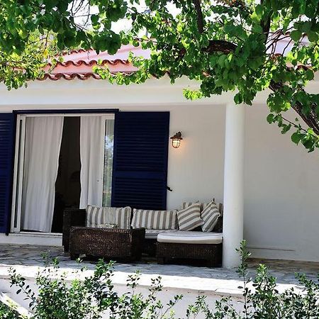 העיירה סקיאתוס Villa Ftelia מראה חיצוני תמונה